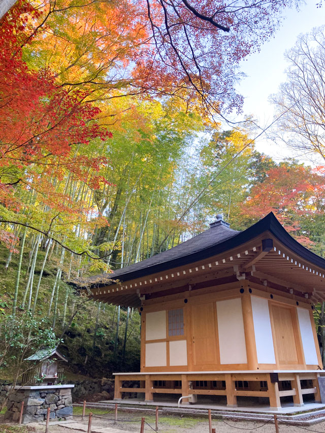 修験者と巡る 神峯山の森 ミニ修験体験ツアー