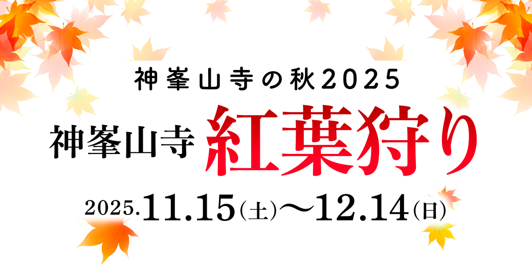 神峯山寺の秋2025『神峯山寺 紅葉狩り』