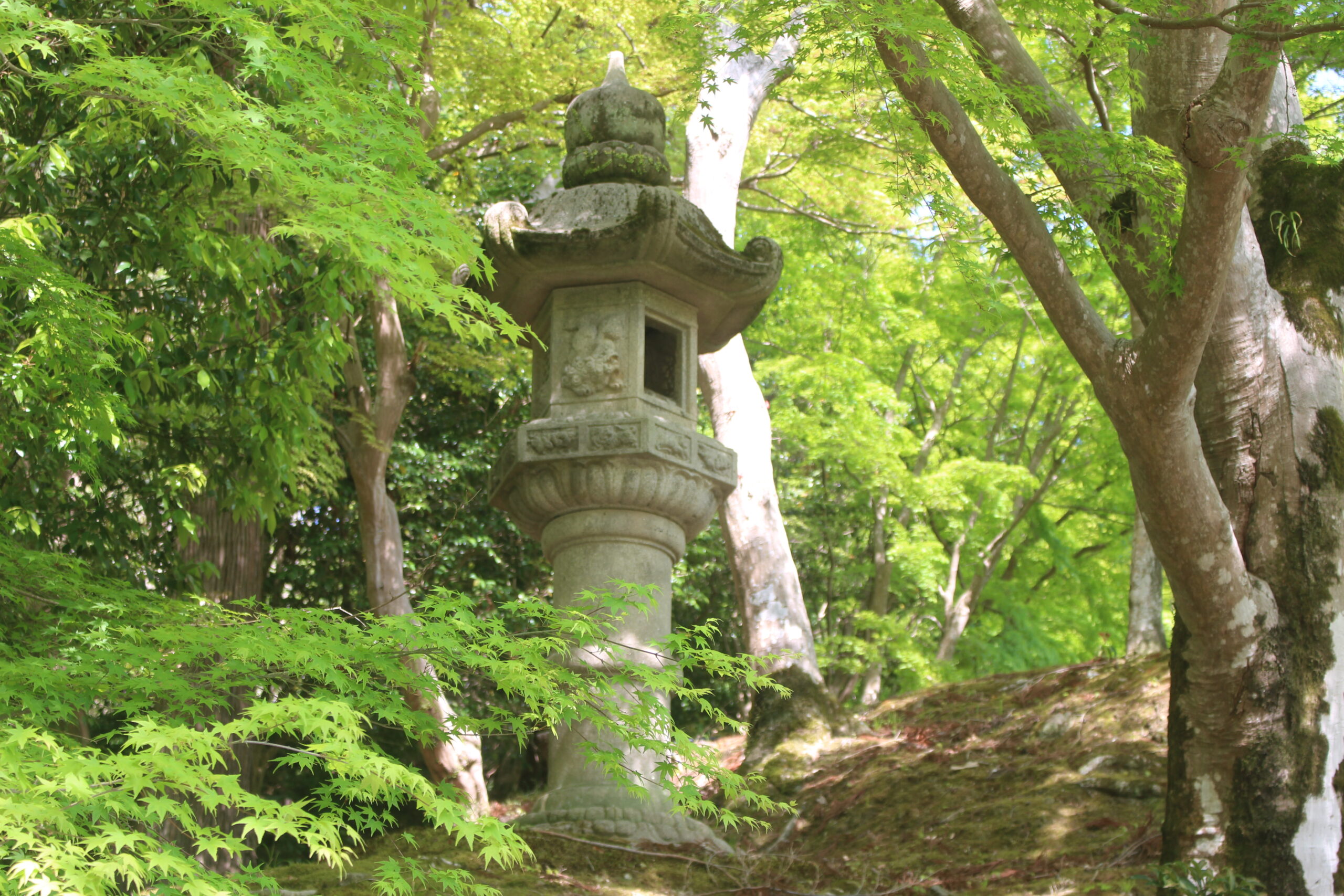 2026年5月行事案内 | 日本最初毘沙門天 大阪府高槻市 神峯山寺